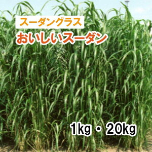 y p X[_OX z X[_ ij1kg 20kg q q ̑ ͔|p Ή q JlRc