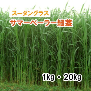 y p X[_OX z T}[x[[׌s ij1kg 20kg q q ̑ ͔|p Ή q JlRc