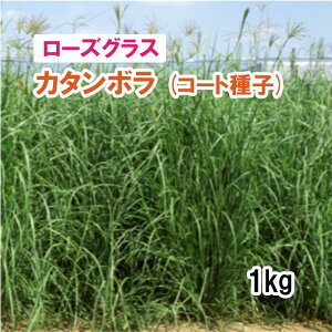 R[gqy p [YOX z J^{ i2{̒j 1kg q q ̑ ͔|p Ή q JlRc