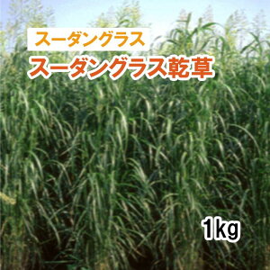 y pX[_OX z X[_OX ij1kg q q ̑ ͔|p p Ή q JlRc