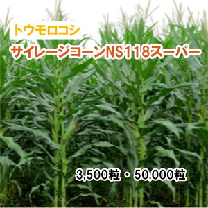 25t3{ypgERVzTC[WR[NS118X[p[ 3,500 50,000 q q ̑ ͔|p p Ή q JlRc