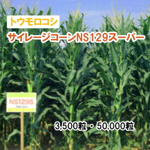25t3{y p gERV zTC[WR[NS129X[p[ 3,500 50,000 q q ̑ Ή ͔|p p q JlRc