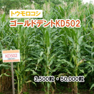 25t3{y p gERV z S[hfgKD502 3,500 50,000 q q ̑ ͔|p p Ή q JlRc