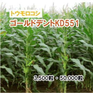 25t3{y p gERV z S[hfgKD551 3,500 50,000 q q ̑ ͔|p p Ή q JlRc