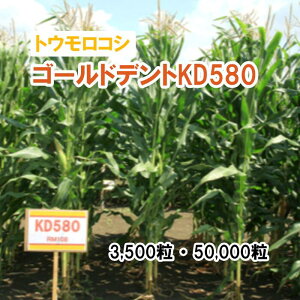 25t3{y p gERV z S[hfgKD580 3,500 50,000 q q ̑ ͔|p p Ή q JlRc