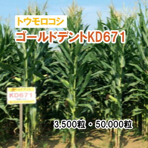 25N4{ח\y p gERV z S[hfgKD671 3,500 50,000 q q ̑ ͔|p p Ή q JlRc