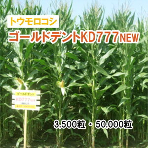 ݌ɌŏIy p gERV z S[hfgKD777NEW íFj[X[Zuj 3,500 50,000 q q ̑ ͔|p p Ή q JlRc