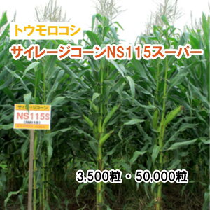 25t3{y p gERV z TC[WR[NS115X[p[ 3,500 50,000 q q ̑ ͔|p p Ή q JlRc