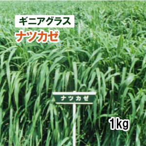 y p MjAOX z icJ[ ij 1kg q q ̑ ͔|p Ή q JlRc