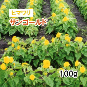 y iό` q} z TS[h ␫it`Ă܂jq q ̑ Ή ͔|p  q JlRc