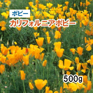 Hdy iό`  |s[ z nirV ^ JtHjA|s[ 500g q ̑ ͔|p Ή  q JlRc