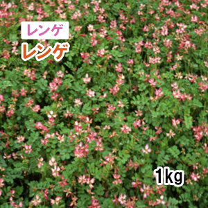 Hdy iό`  Q z  1kg q ̑ ͔|p Ή  q JlRc