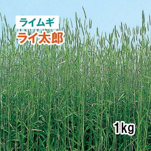 y Δp CM z CY iɑj 1kg q q ̑ ͔|p Ή p q ^LCc