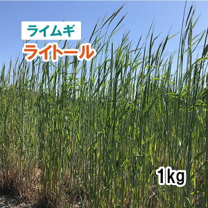 y Δp CM z Cg[ iӐj 1kg q q ̑ ͔|p Ή p q ^LCc