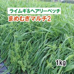 y p CMwA[xb` z ܂߂ނ}`2 i2퍬qj 1kg q q ̑ ͔|p Ή p q ^LCc