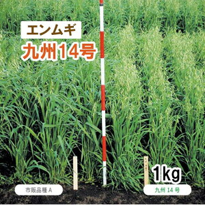 y Δp GM z B14 iɑj 1kg q q ̑ ͔|p Ή p q ^LCc