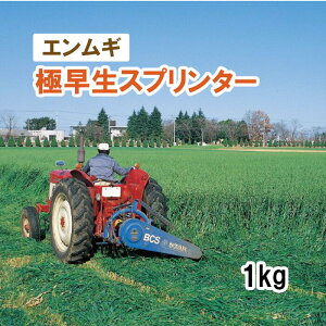 _򖢏y Δp GM z ɑXv^[ iɑj 1kg q q ybgp ̑ ͔|p Ή p q ^LCc