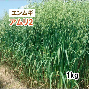 y Δp GM z A2 ij 1kg q q ̑ ͔|p Ή p q ^LCc