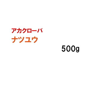 y Δp AJN[o z icE 500g q q ̑ ͔|p p Ή q ^LCc