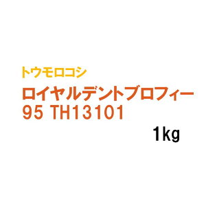 y p gERV z CfgutB[95 TH13101 (95) 1kg q q ̑ ͔|p Δ Ή q ^LCc