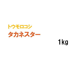 y p gERV z ^JlX^[ (113) 1kg q q ̑ ͔|p Δ Ή q ^LCc