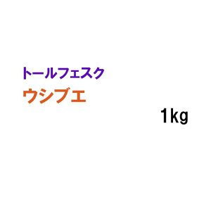 y Őp g[tFXN z EVuG 1kg q q ̑ ͔|p p St Z Ή q ^LCc