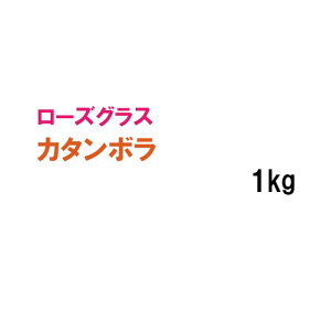 y p [YOX z J^{ 1kg q q ̑ ͔|p Ő St Z Ή q ^LCc