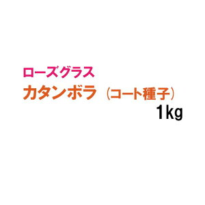 R[gqy p [YOX z J^{ 1kg q q ̑ ͔|p Ő St Z Ή q ^LCc