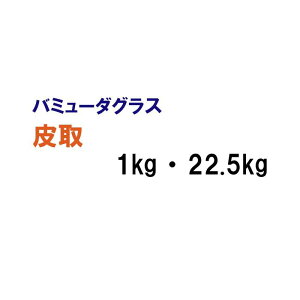 y Ήp o~[_OX z  1kg 22.5kg q q ̑ ͔|p St Z Δ q ^LCc