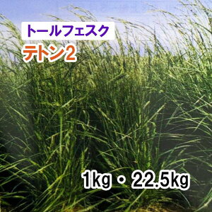 y Őp Ήp g[tFXN z eg2 1kg 22.5kg q qp ͔|p Δ q c