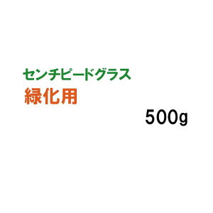 y Ήp Z`s[hOX zΉp 500g q q ̑ ͔|p p St Z Δ q ^LCc