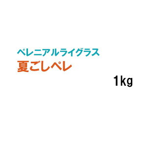 y Ήp yjACOX zĂy 1kg q q ̑ ͔|p p St Z Δ q ^LCc