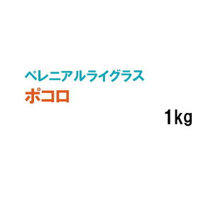 y Ήp yjACOX z|R 1kg q q ̑ ͔|p p St Z Δ q ^LCc