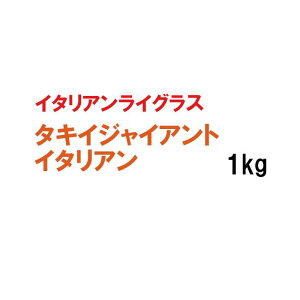 y p C^ACOX z ^LCWCAgC^A 1kg q q ̑ ͔|p Δp Ή q ^LCc