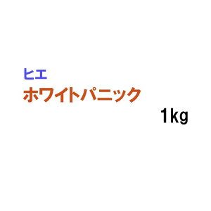 y p qG z zCgpjbN 1kg q q ̑ ͔|p Δp Ή q ^LCc