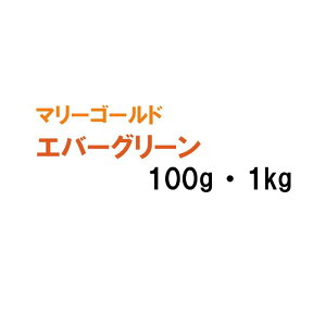 y p t`}[S[h z Go[O[ 100g 1kg q q ̑ ͔|p Δp Ή q ^LCc