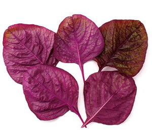 y t z bhA}TX i  j 1L y ̎ z ؎ ͔|p q xr[[t iJn̂