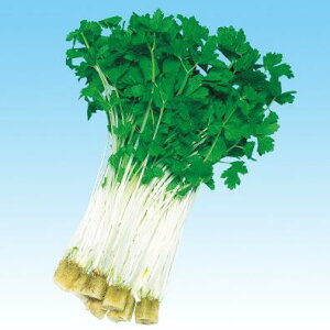 y Z[ z~jZ[ 1L y ̎ z ؎ ͔|p q xr[[t iJn̂