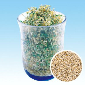 y JC z  i ZT~ j 1L y ̎ z ؎ ͔|p t q XvEg iJn̂