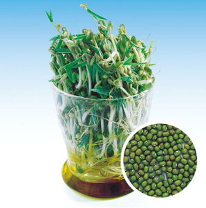 y JC z O[}by i Γ j 1L y ̎ z ؎ ͔|p t q XvEg iJn̂