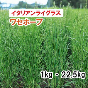 y Δp C^ACOX z Zz[v ij1kg 22.5kg q q ̑ ͔|p p Ή q ^LCc