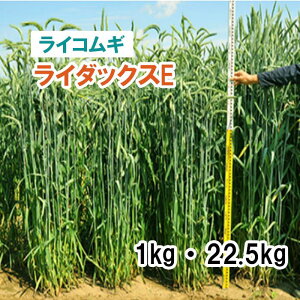 Hdy p CRM z C_bNXE iӐj 1kg 22.5kg 炢 q q ̑ Ή ͔|p q JlRc