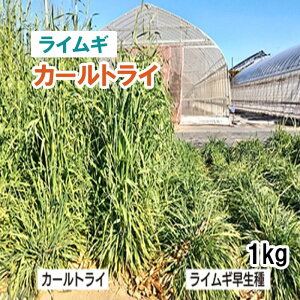 y p CM zJ[gC iɑj 1kg 炢 q q ̑ Ή Δ ͔|p q JlRc