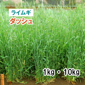 Hdy p CM z _bV iɑj 1kg 10kg 炢 q q ̑ Ή ͔|p q JlRc