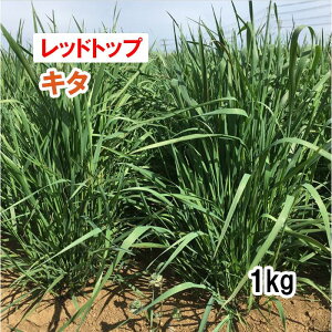 y p bhgbv z L^ 1kg q q ͔|p Ή Δ q c