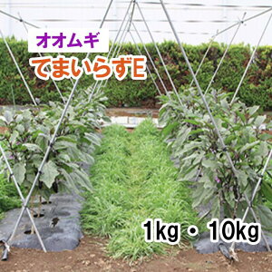 y Δp IIM z Ă܂炸E 1kg 10kg 唞 ͔|p q JlRc
