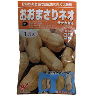 おおまさりネオ（35粒～40粒）　1dl 落花生 種 家庭菜園 オオマサリネオ らっかせい 家庭菜園 野菜の種 …