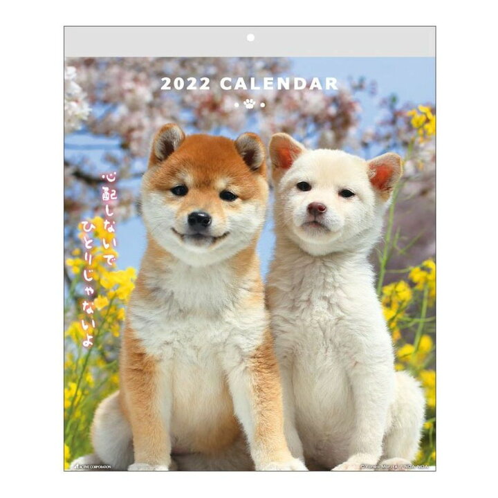 楽天市場 壁掛け カレンダー 22年 Dog ウォールカレンダー スケジュール いぬ アクティブコーポレーション 動物 写真 書き込み インテリア 令和4年暦 雑貨 アートの通販店ベルコモン