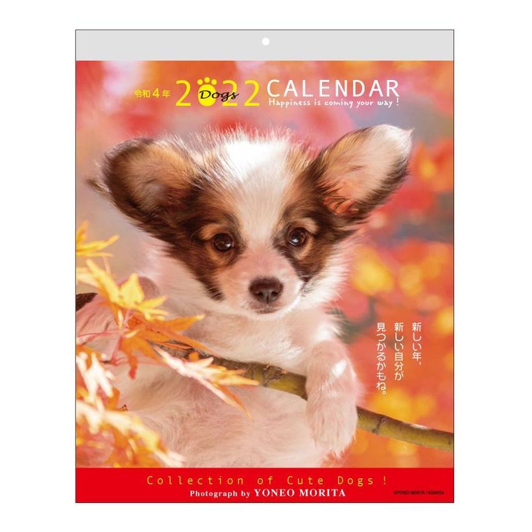 カレンダー 2022年 壁掛け 森田米雄 メッセージカレンダー 限定価格セール DOG スケジュール いぬ インテリア 動物写真 アクティブコーポレーション 令和4年暦 v-2109clcp 最新アイテム 100円クーポン 書き込み 令