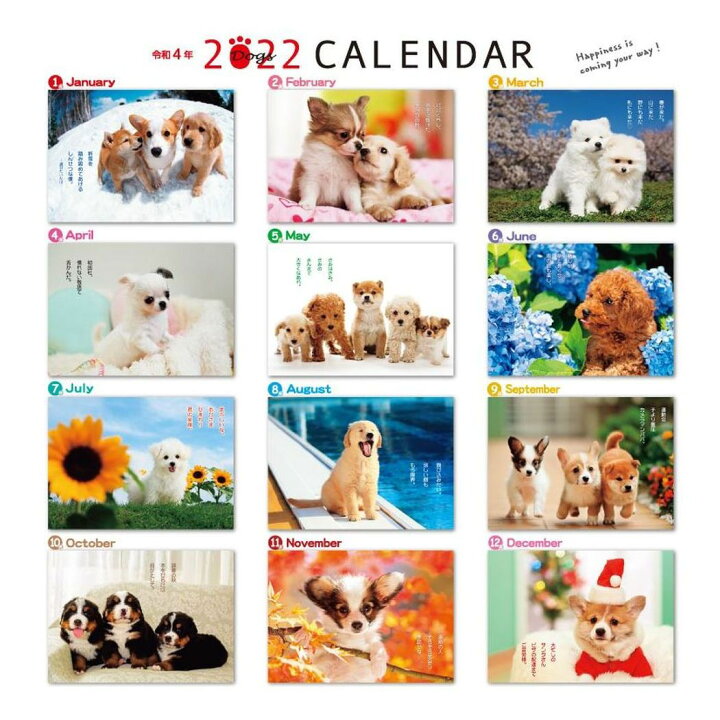 犬 俊介 ポメラニアン 週めくりミニ 書き込み 22 カレンダー 卓上 スケジュール いぬ ドッグ 令和4年 暦 ワンピなど最旬ア